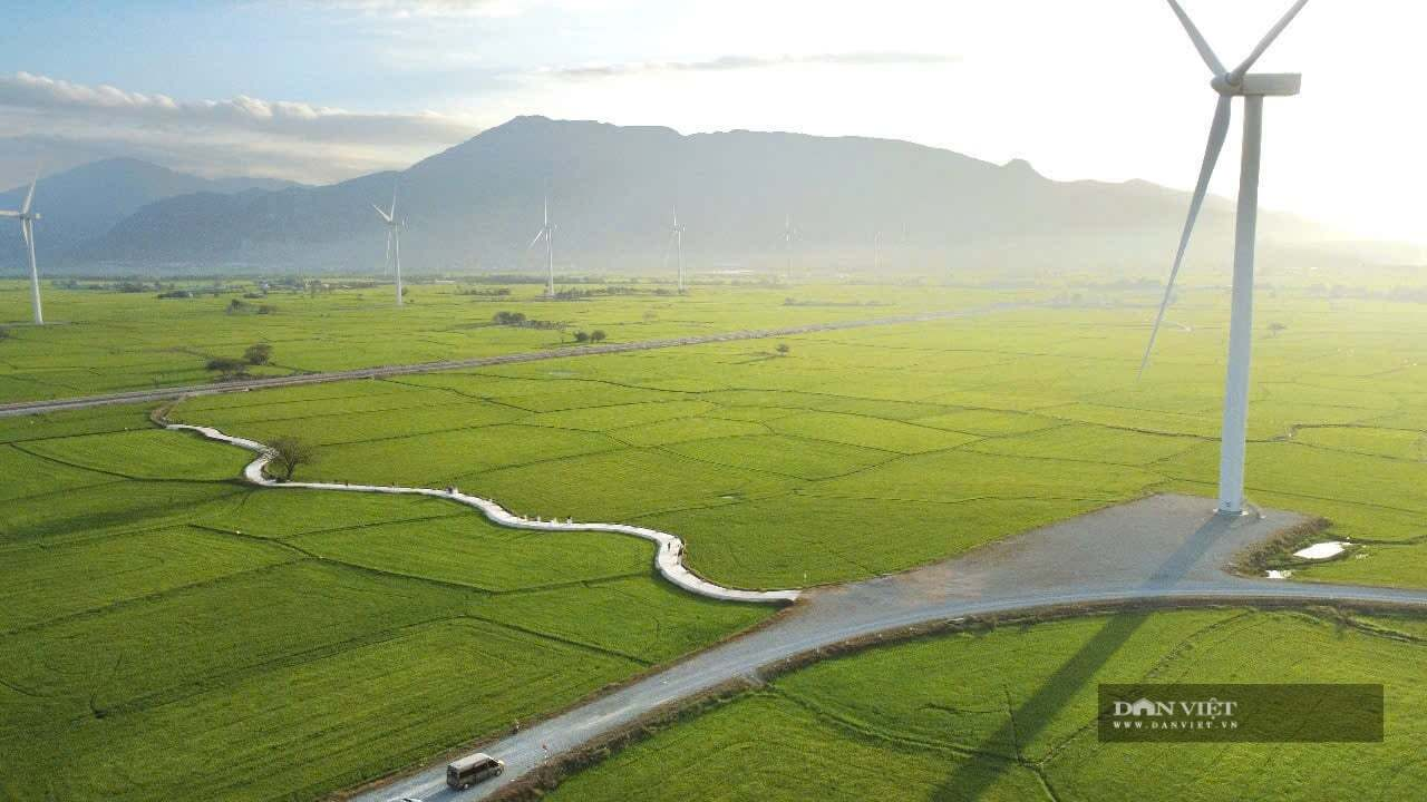 Dự án SAF tại Uzbekistan: Minh chứng năng lực triển khai toàn cầu của Allied Green Ammonia